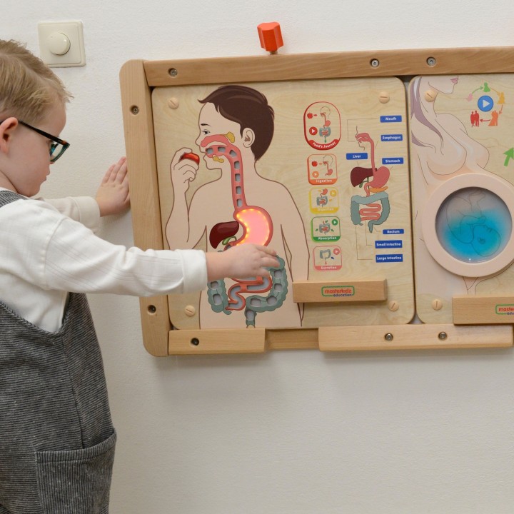 Tablica Układ Pokarmowy MASTERKIDZ - Poznaj Ludzkie Ciało przez Zabawę