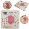 MASTERKIDZ Montessori Visual Sense Educational Board