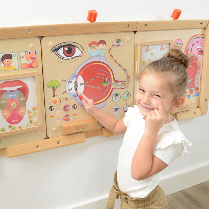 Tablica Zmysł Wzroku MASTERKIDZ - Budowa i Działanie Oka
