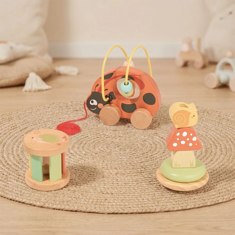 TOOKY TOY Zestaw Zabawek Montessori od 12m+ Biedronka do Zabawy Rozwojowej 3w1