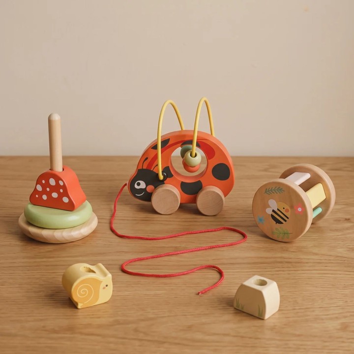 Drewniany Zestaw Edukacyjny Biedronka 3w1 TOOKY TOY