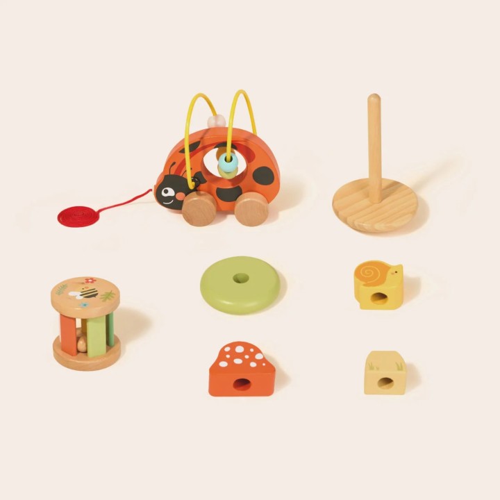 Wooden Ladybug Educational Set 3in1 TOOKY TOY