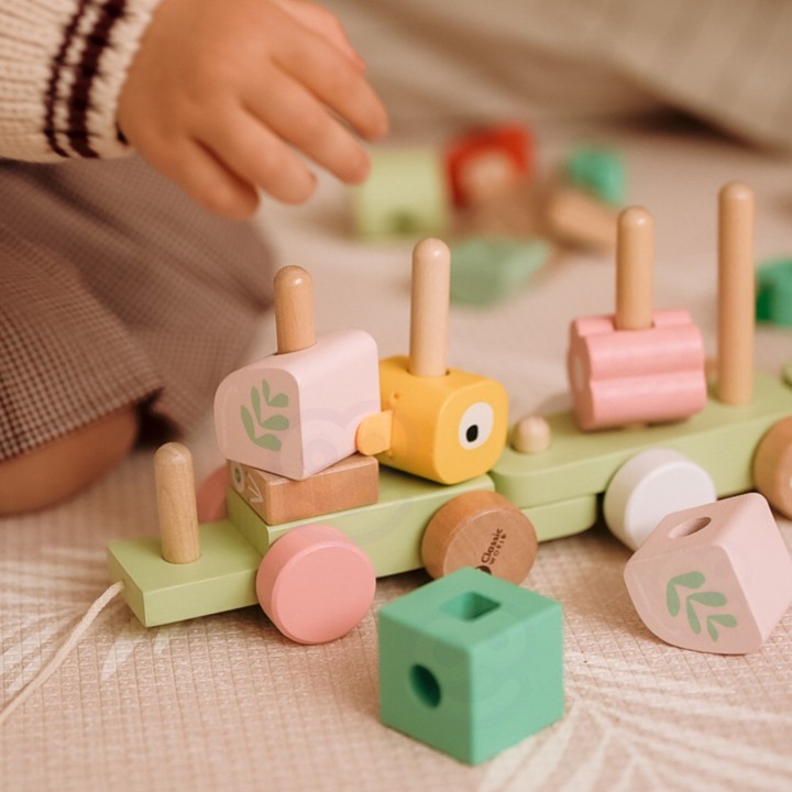 CLASSIC WORLD Montessori Wooden Caterpillar Train Puzzle