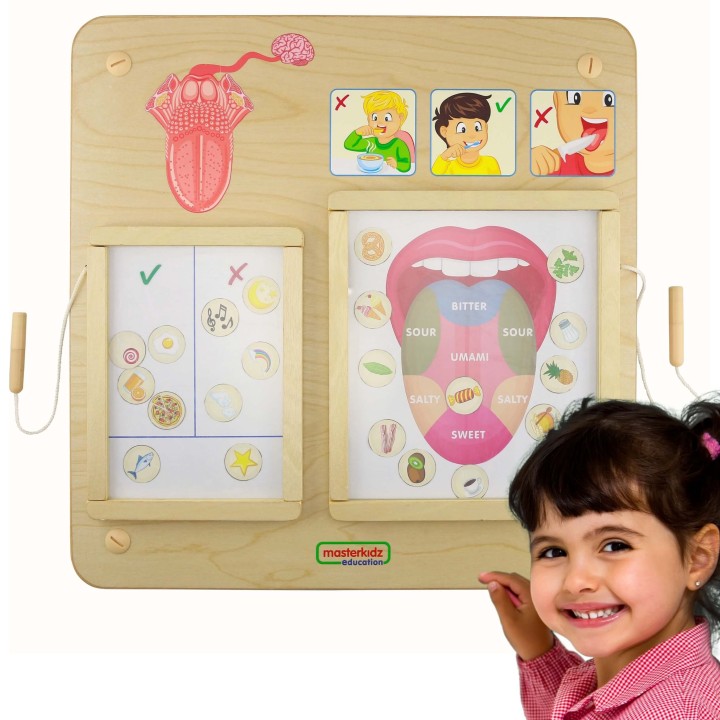 MASTERKIDZ Montessori Sense of Taste Educational Board - Fun and Learning