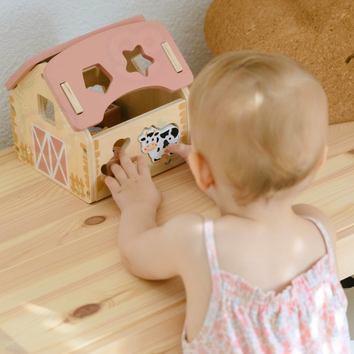 WOOPIE GREEN Wooden Farm Shape and Color Sorter 13 pcs.