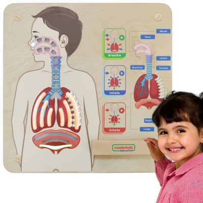 Montessori MASTERKIDZ Respiratory Educational Board