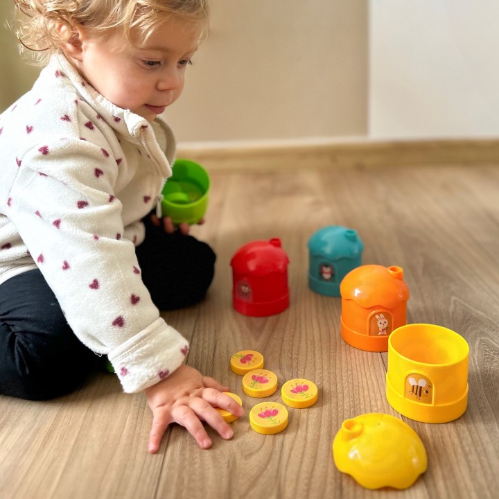 WOOPIE Color Classification Logic Game - Education for Children 3+