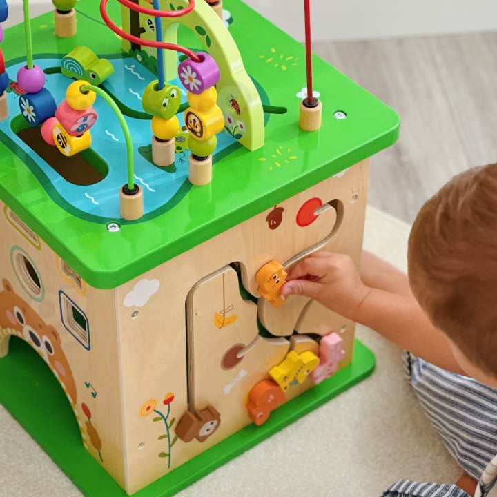 TOOKY TOY Educational Cube Sorter Maze Animal Intertwining