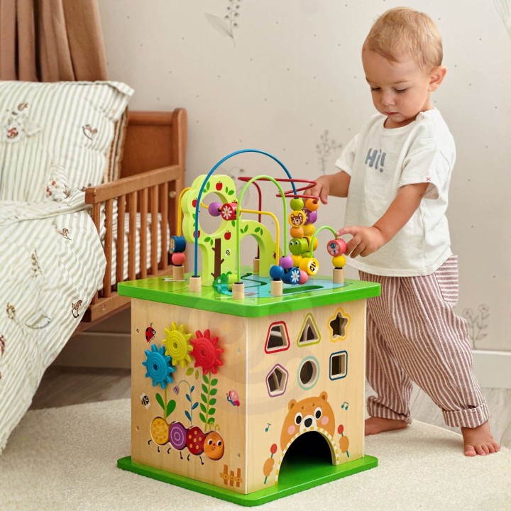 TOOKY TOY Educational Cube Sorter Maze Animal Intertwining