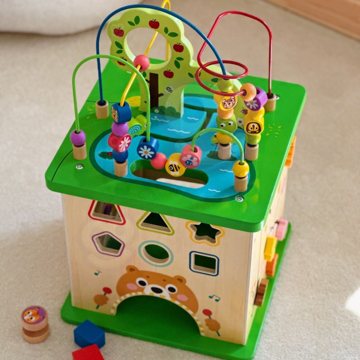 TOOKY TOY Educational Cube Sorter Maze Animal Intertwining