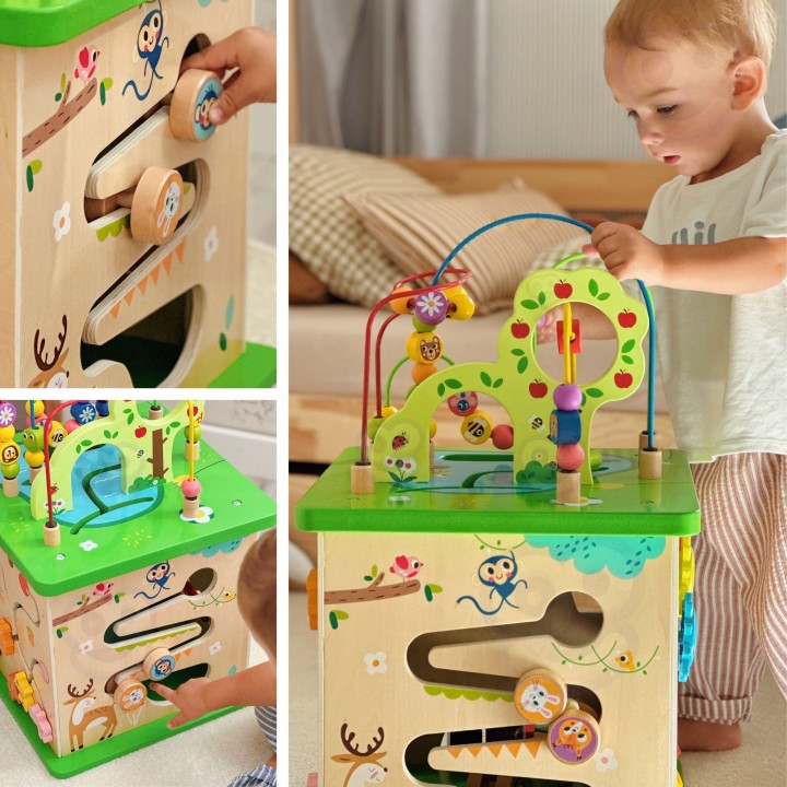 TOOKY TOY Educational Cube Sorter Maze Animal Intertwining