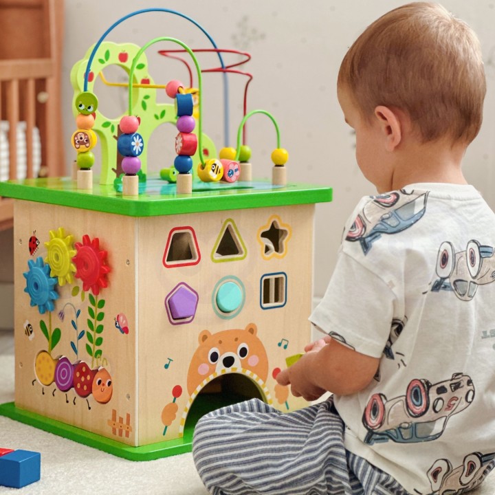 TOOKY TOY Kostka Edukacyjna Sorter Labirynt Przeplatanka zwierzątka