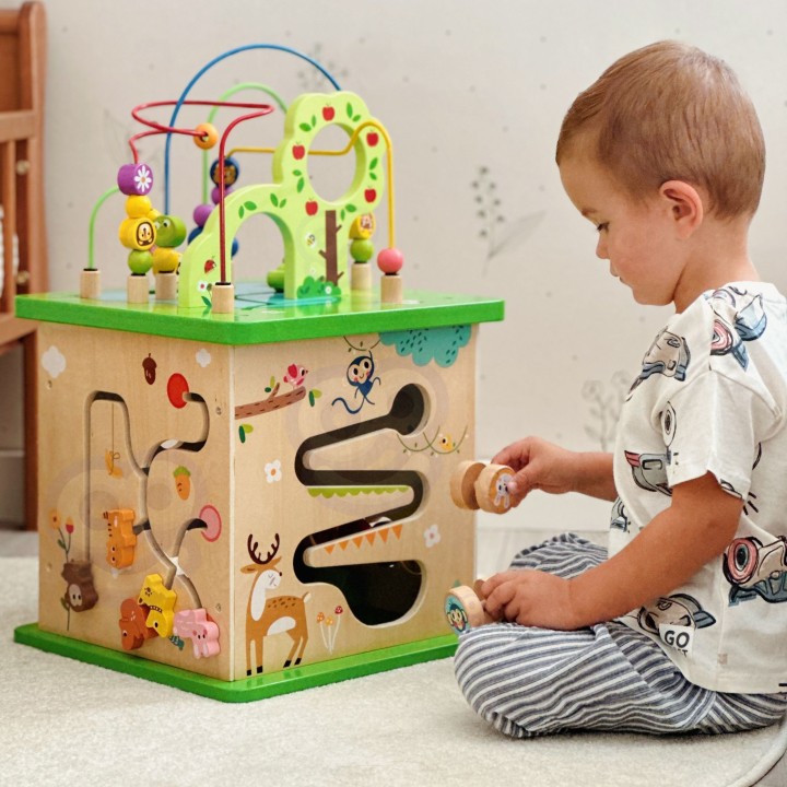 TOOKY TOY Educational Cube Sorter Maze Animal Intertwining