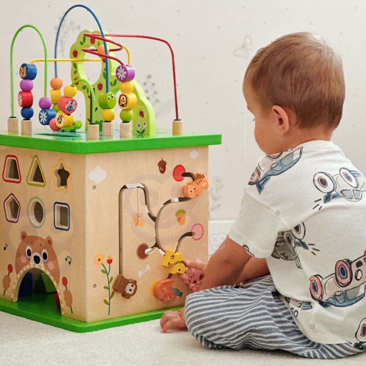 TOOKY TOY Educational Cube Sorter Maze Animal Intertwining