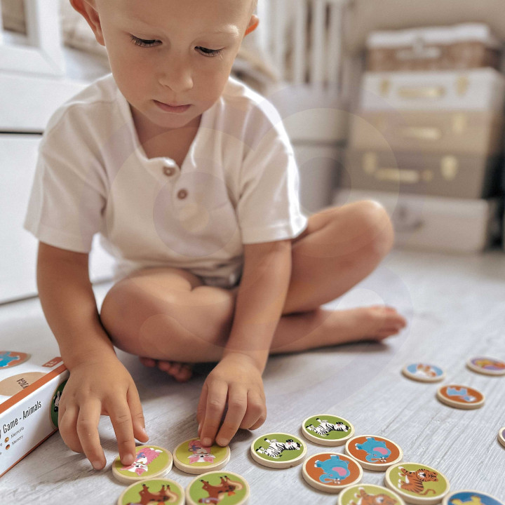 VIGA Animal Memory Game