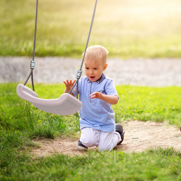 AXI Single Swing Large Frame