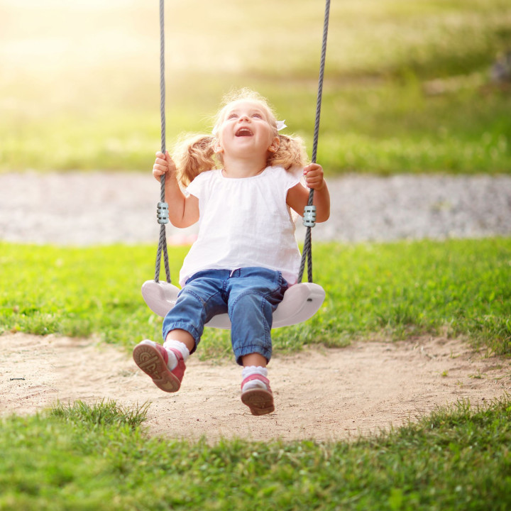 AXI Single Swing Large Frame