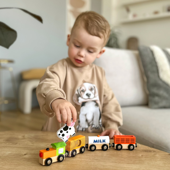 Viga Farma 6 Figurek Drewnianych