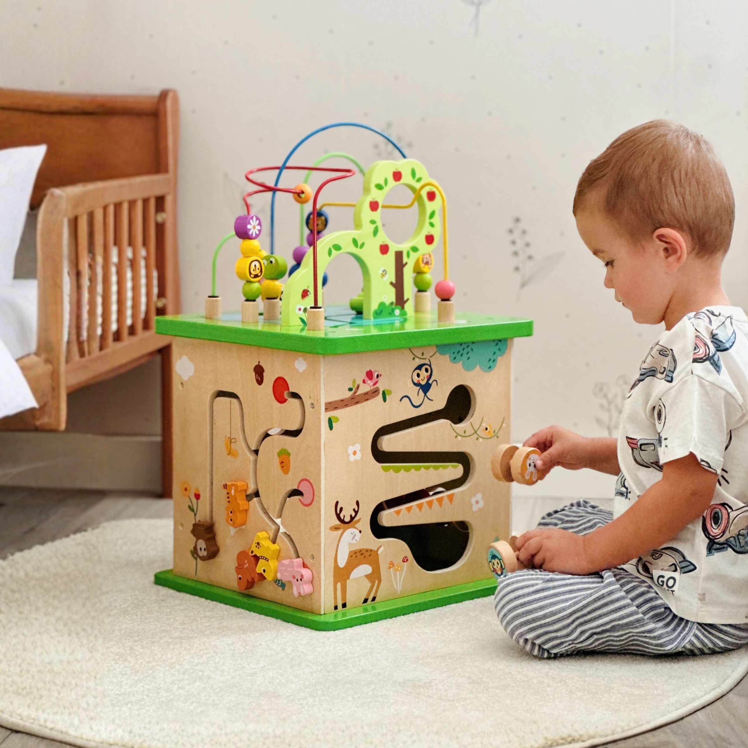 Educational Toys